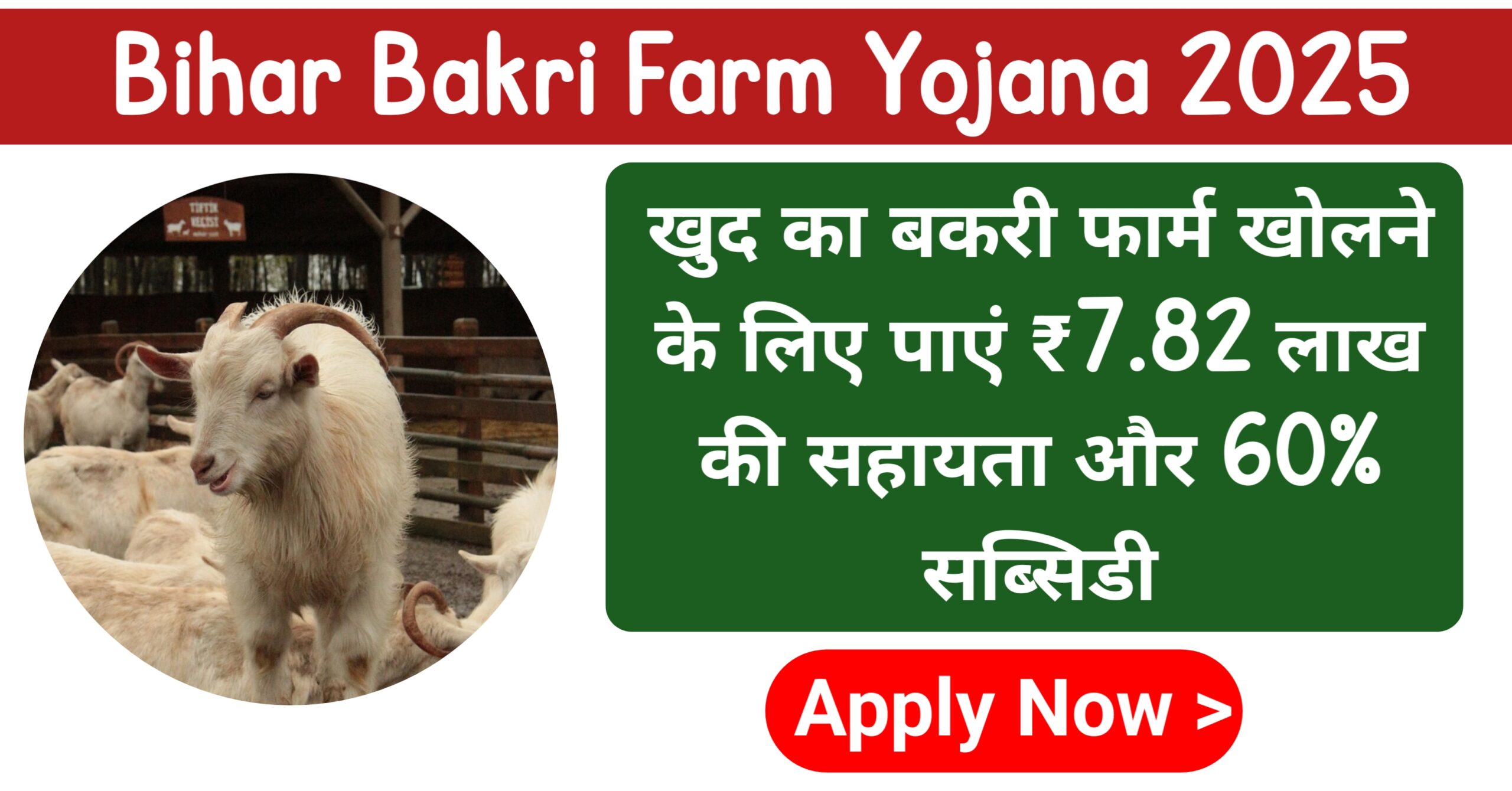 Bihar Bakri Farm Yojana 2025