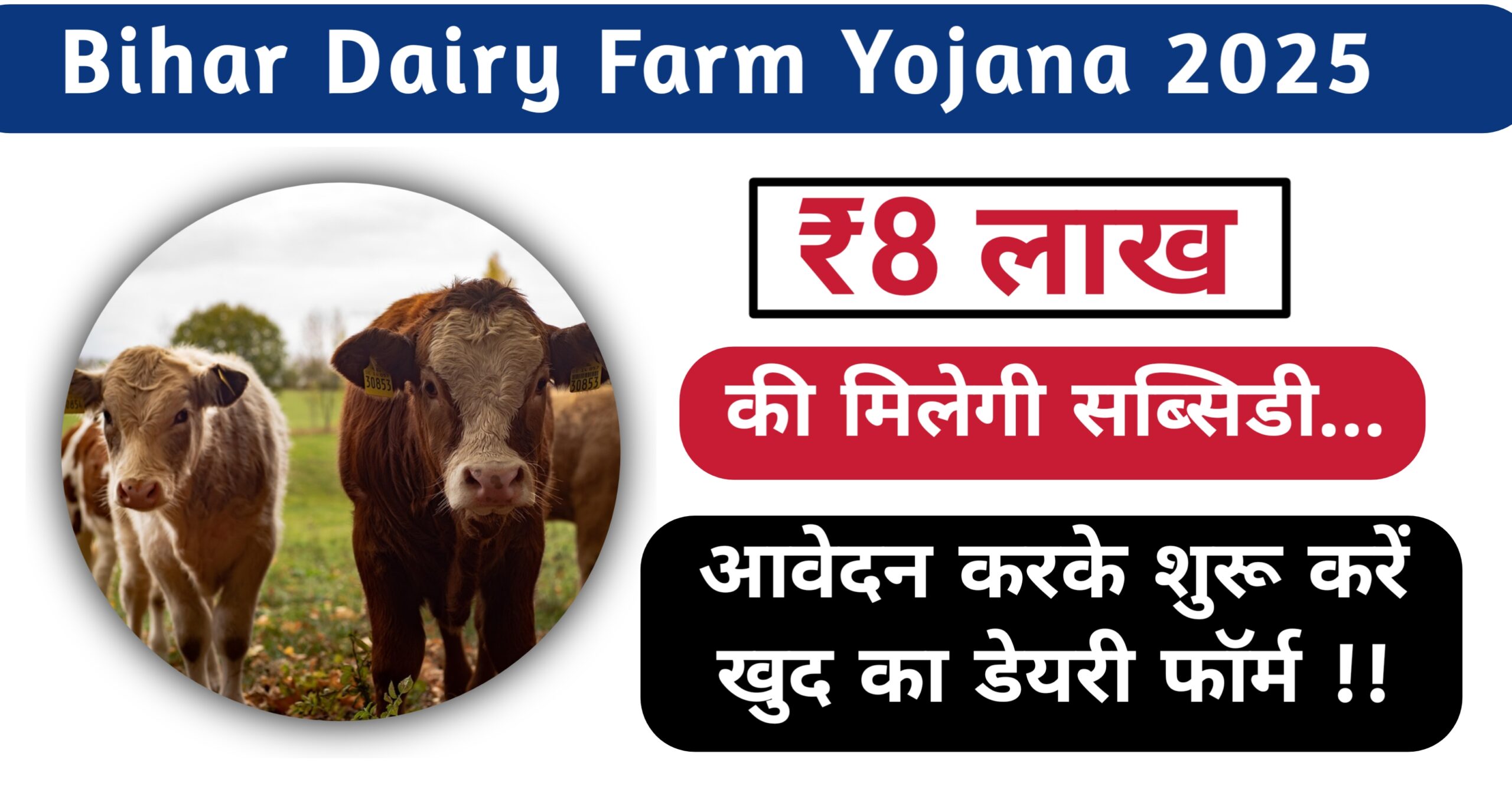 Bihar Dairy Farm Yojana 2025